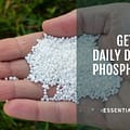 phosphorus
