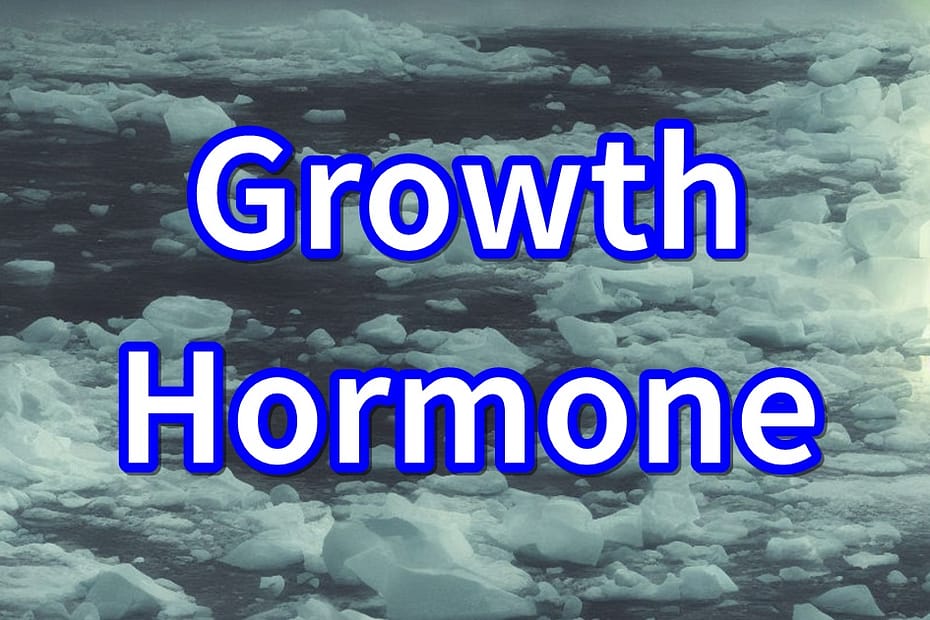 Growth Hormone